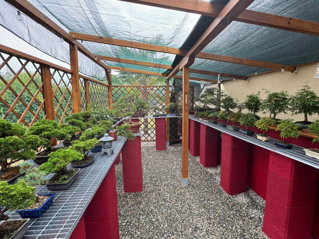 Il nostro spazio dedicato alla coltivazione dei bonsai: il gazebo di Stagioni Bonsai.